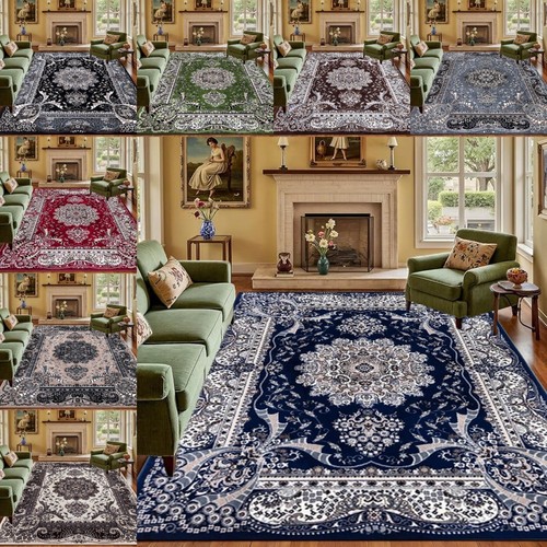 Extra large traditional rugs - traditional,